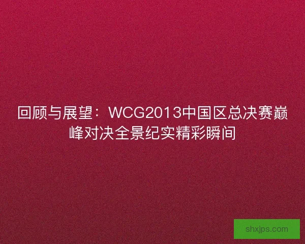 回顾与展望：WCG2013中国区总决赛巅峰对决全景纪实精彩瞬间