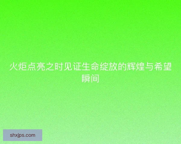 火炬点亮之时见证生命绽放的辉煌与希望瞬间